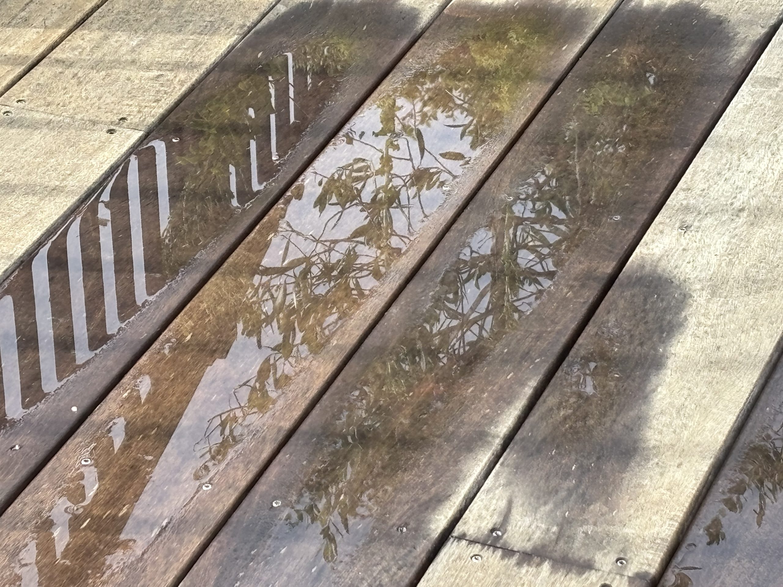 Bringing nature inside